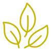 Golden leaf icon